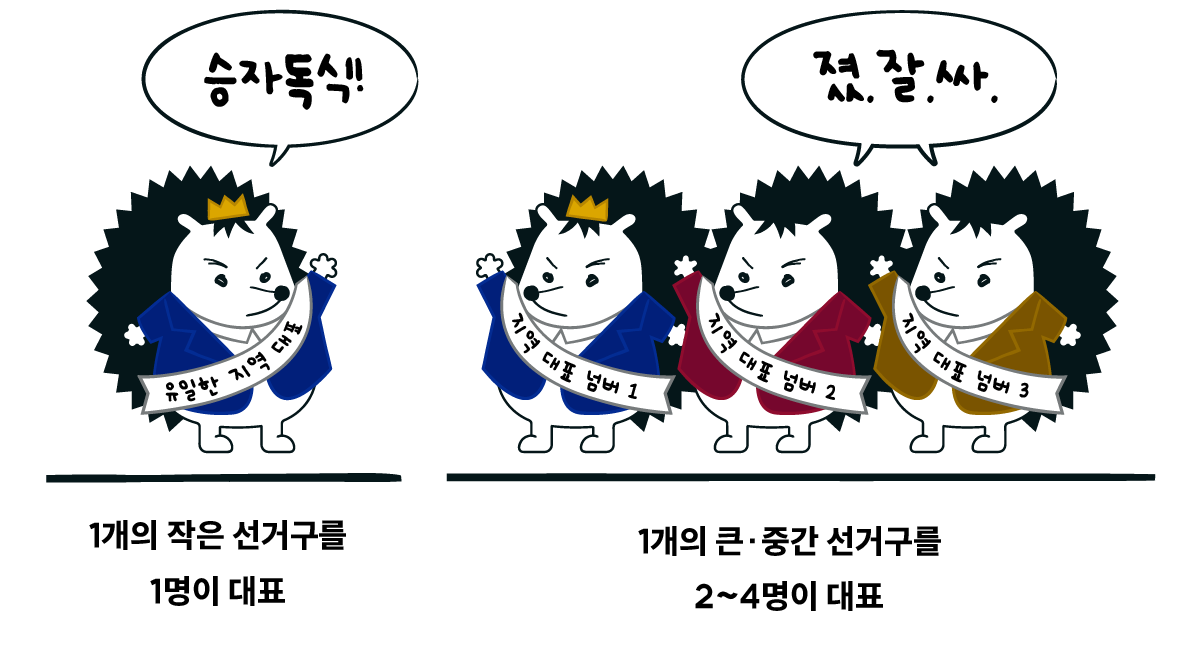 중대선거구제.png