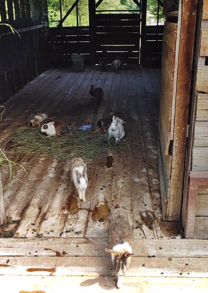 화면 캡처 2024-09-20 065405.png