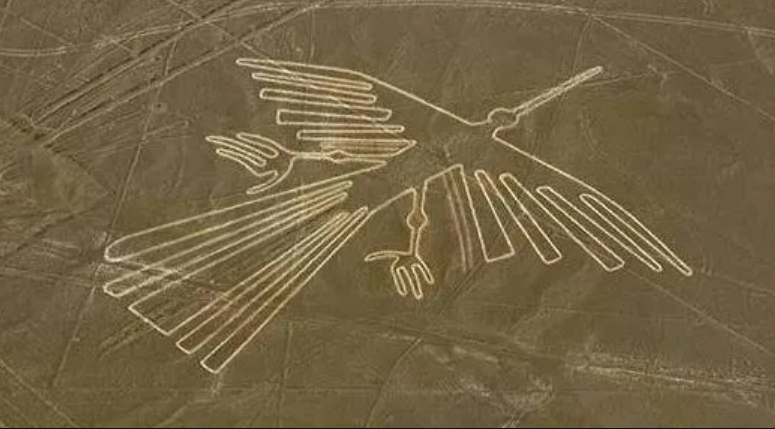 화면 캡처 2024-05-10 122948.png