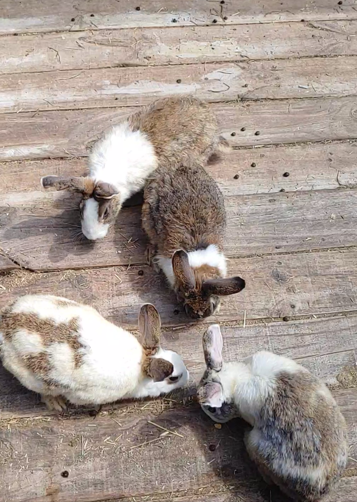 화면 캡처 2024-09-20 065456.png