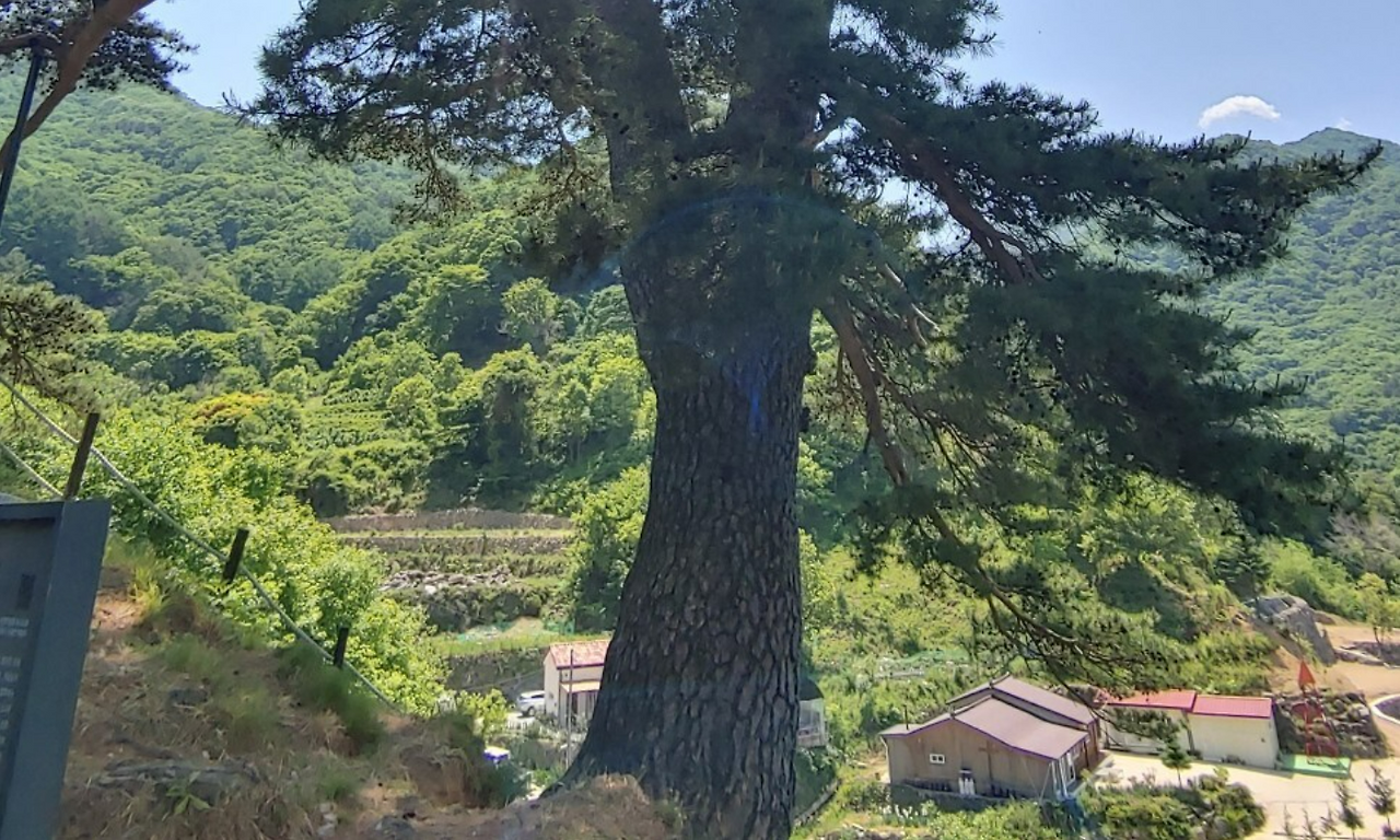 화면 캡처 2024-03-31 053144.png