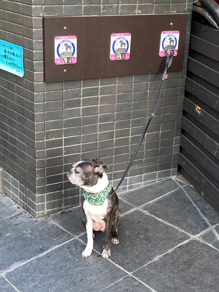 Screen Shot 2021-05-11 at 20.38.38.png