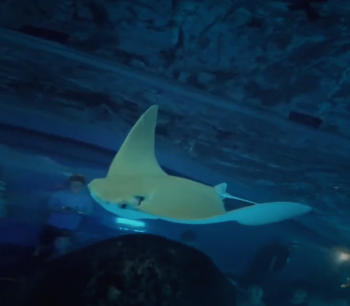 스크린샷 2021-08-29 오전 6.46.43.png