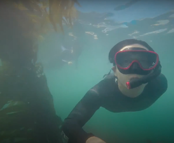 스크린샷 2021-08-08 오후 12.59.58.png