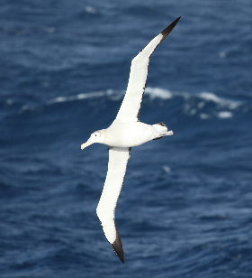 스크린샷 2021-08-21 오전 7.38.01.png