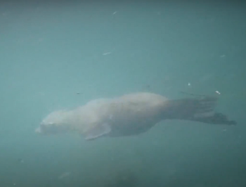 스크린샷 2021-08-08 오후 1.03.47.png