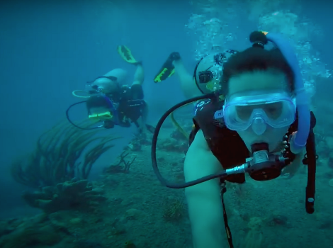 스크린샷 2021-08-21 오전 6.49.39.png