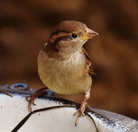 스크린샷 2021-08-21 오전 7.37.53.png