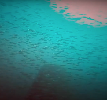 스크린샷 2021-07-18 오전 7.12.35.png