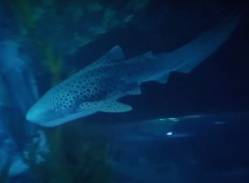 스크린샷 2021-08-29 오전 6.47.35.png