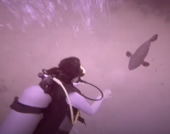 스크린샷 2021-08-22 오전 6.55.12.png