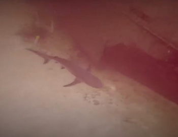 스크린샷 2021-08-22 오전 6.55.36.png