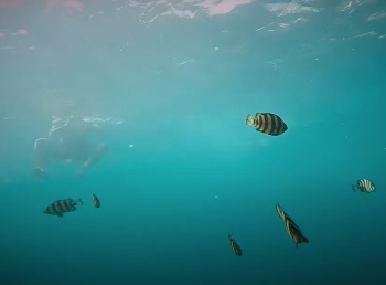 스크린샷 2021-07-18 오전 7.14.12.png