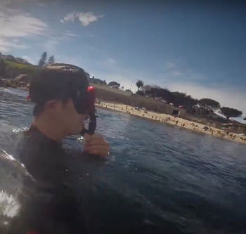 스크린샷 2021-08-08 오후 1.01.12.png