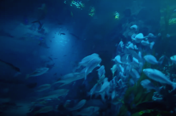 스크린샷 2021-08-29 오전 6.45.20.png