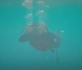 스크린샷 2021-07-18 오전 7.12.10.png