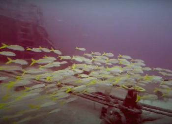 스크린샷 2021-08-22 오전 6.56.37.png