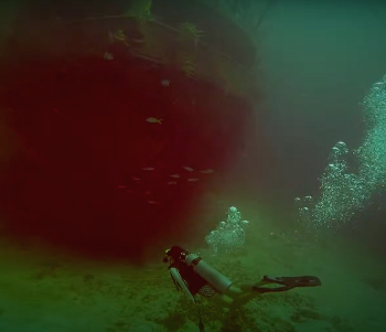 스크린샷 2021-08-22 오전 6.53.52.png