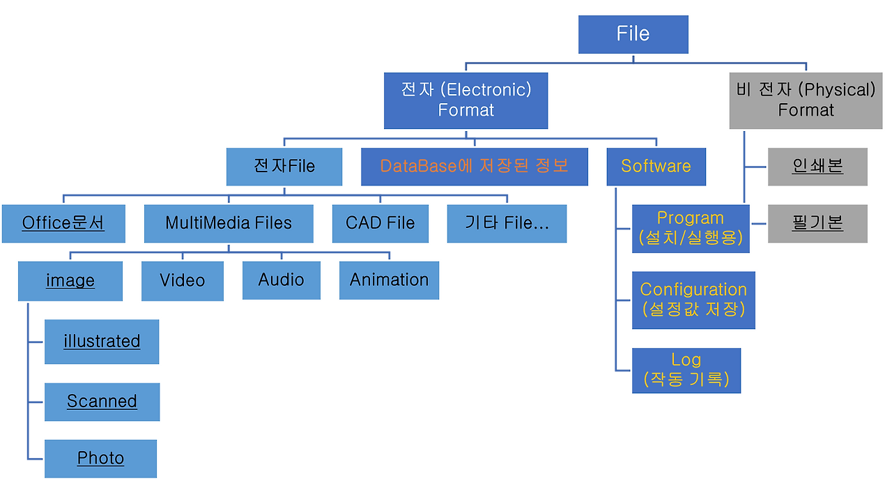 파일 분류_202302.png