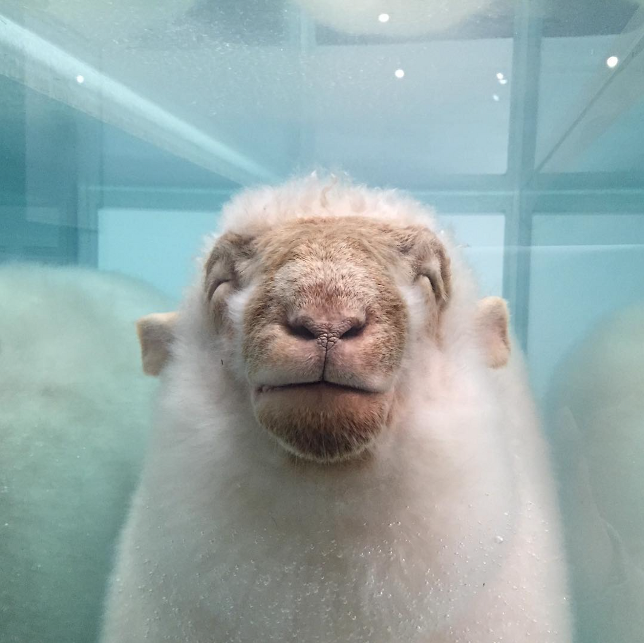 Screen Shot 2021-05-13 at 12.05.53 AM.png