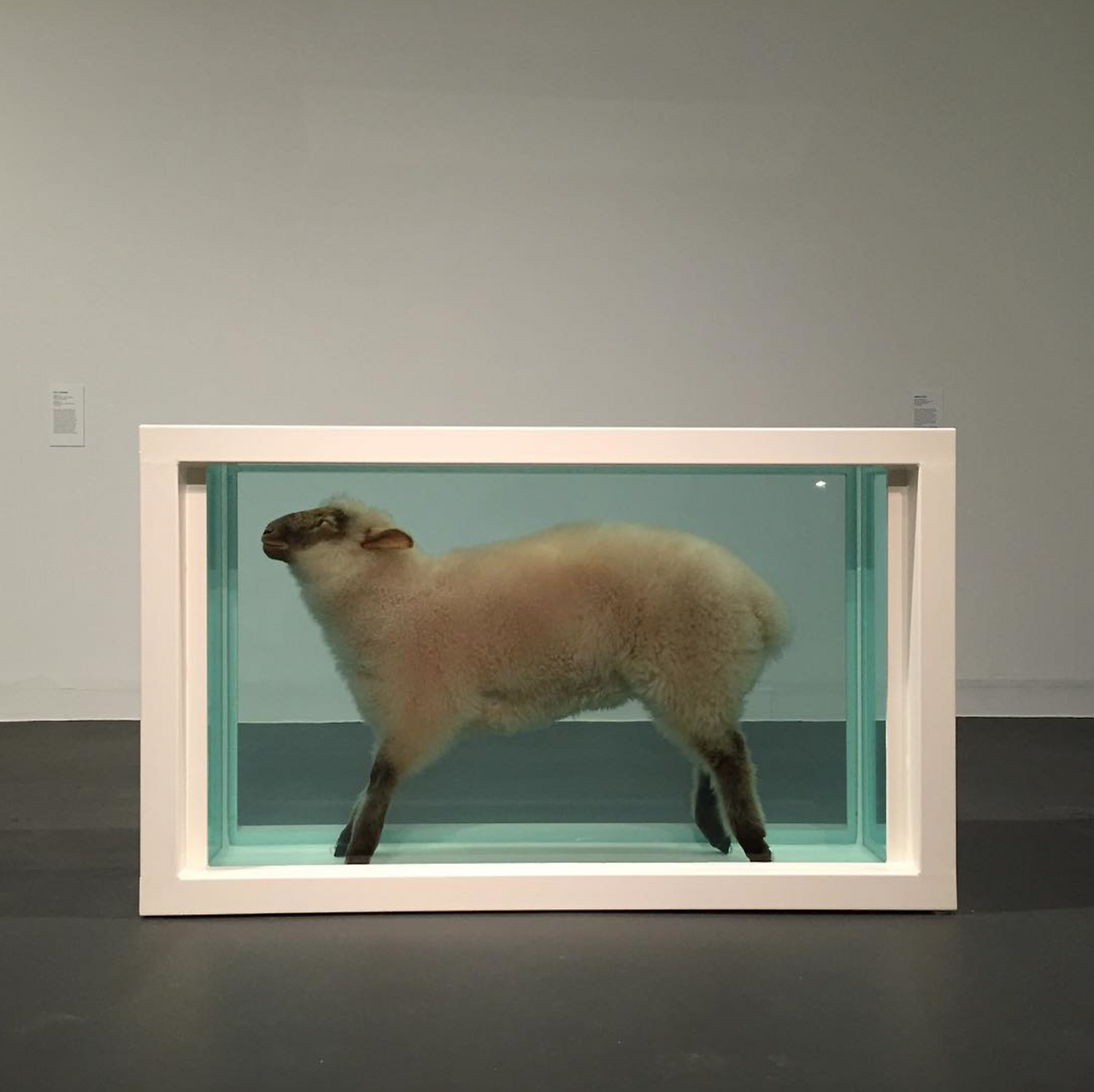 Screen Shot 2021-05-13 at 12.06.15 AM.png