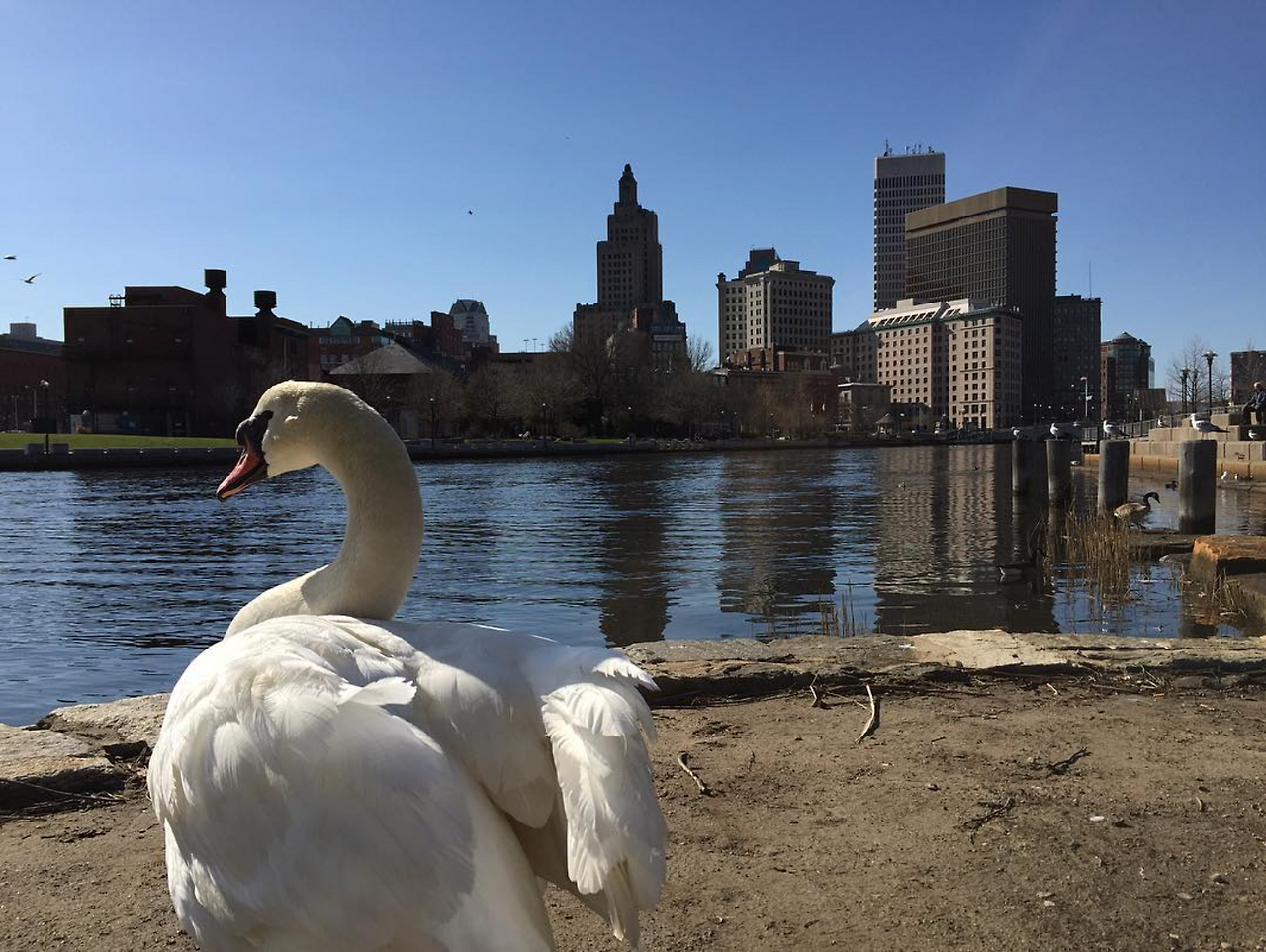 Screen Shot 2021-05-11 at 11.33.14 PM.png