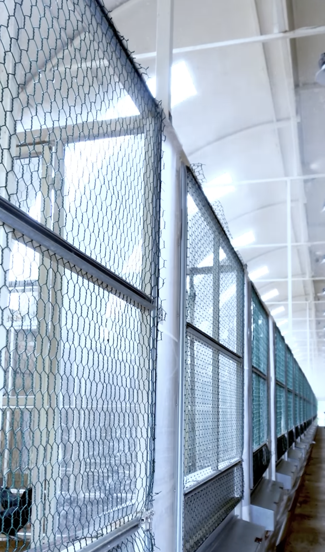 스크린샷 2025-06-18 오전 1.44.08.png