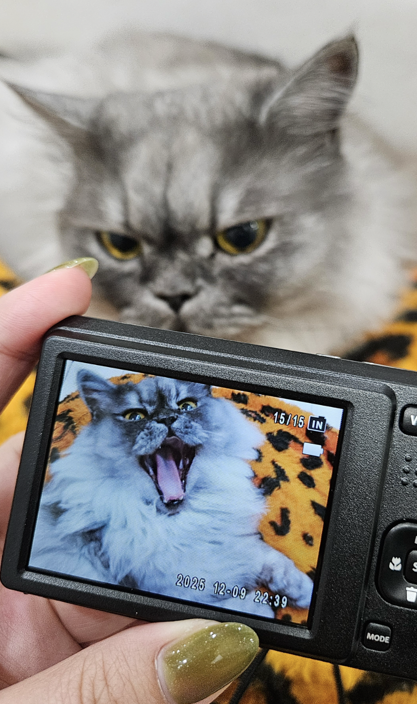 스크린샷 2025-12-12 오후 5.16.51.png