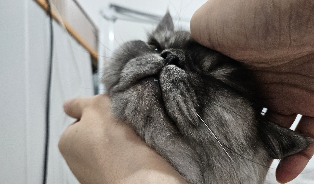 스크린샷 2026-01-09 오후 4.32.08.png