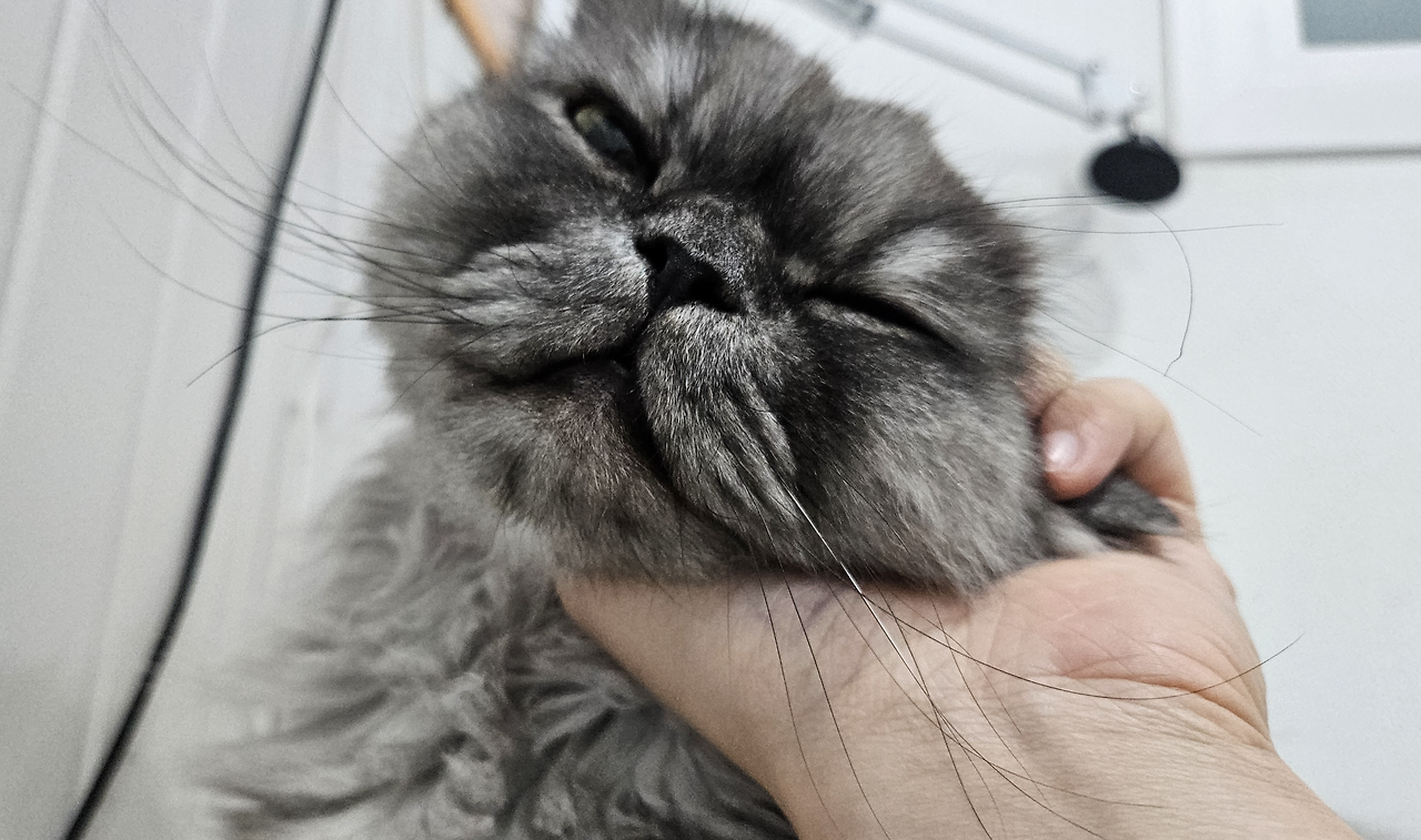 스크린샷 2026-01-09 오후 4.32.18.png