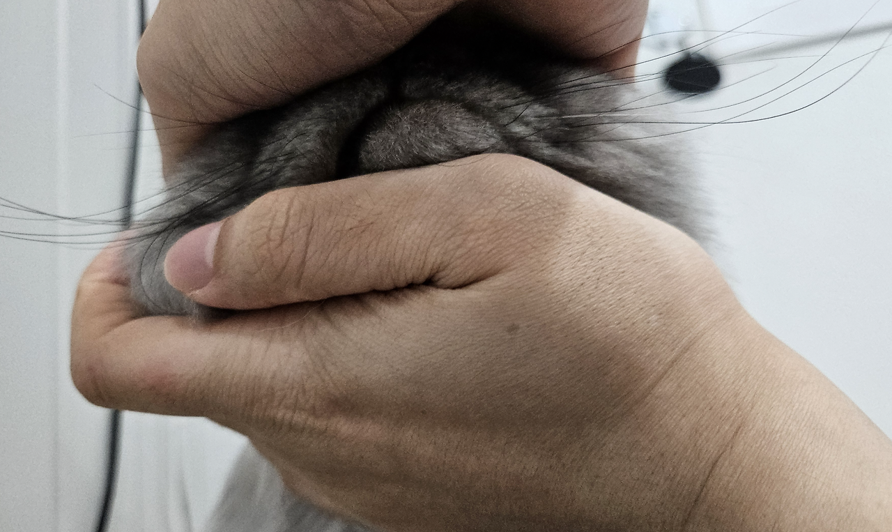 스크린샷 2026-01-09 오후 4.32.26.png