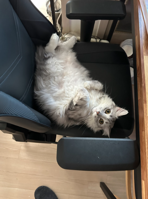 스크린샷 2023-06-05 오후 6.55.38.png