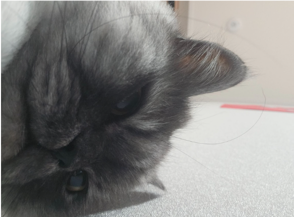 스크린샷 2023-06-05 오후 6.57.38.png