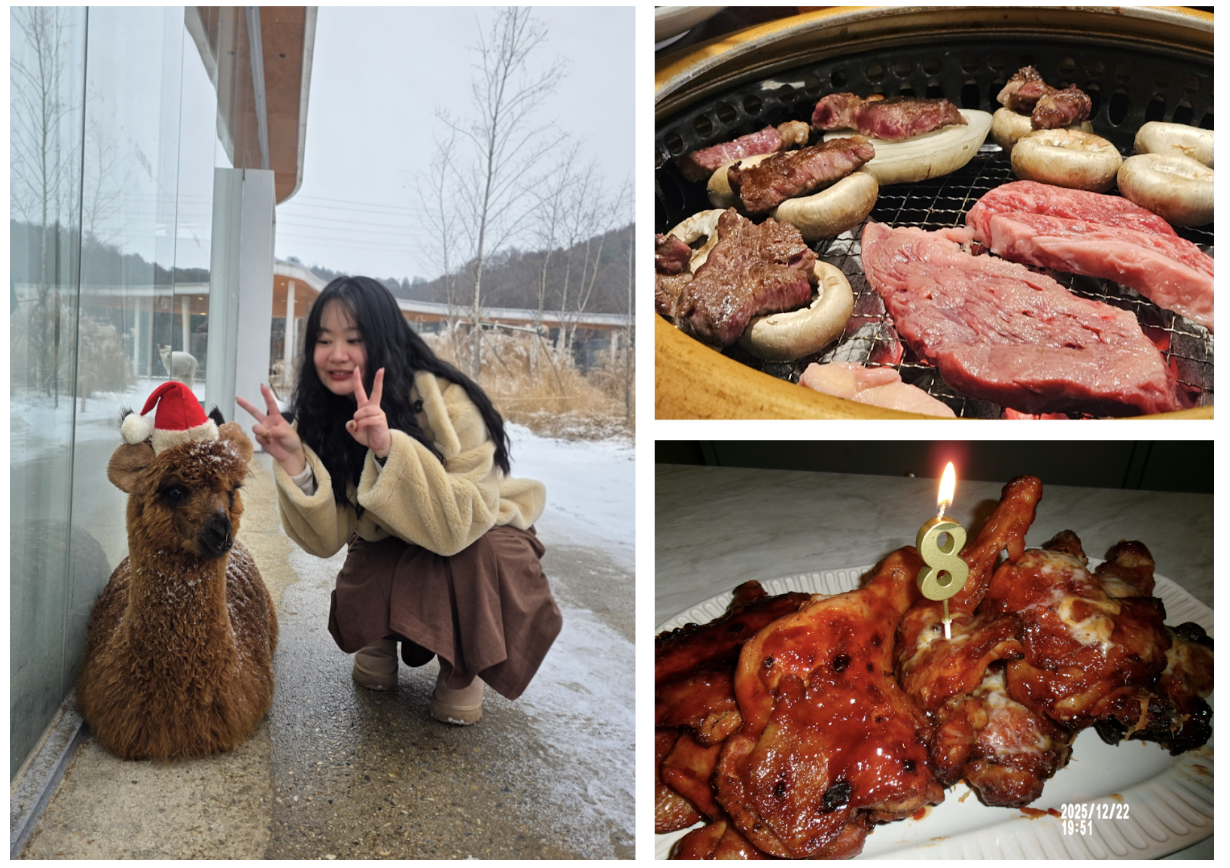 Screenshot 2025-12-25 at 12.28.42 PM.png