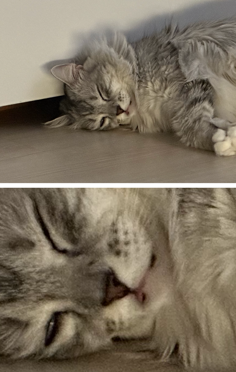 스크린샷 2022-10-21 오후 1.13.52.png