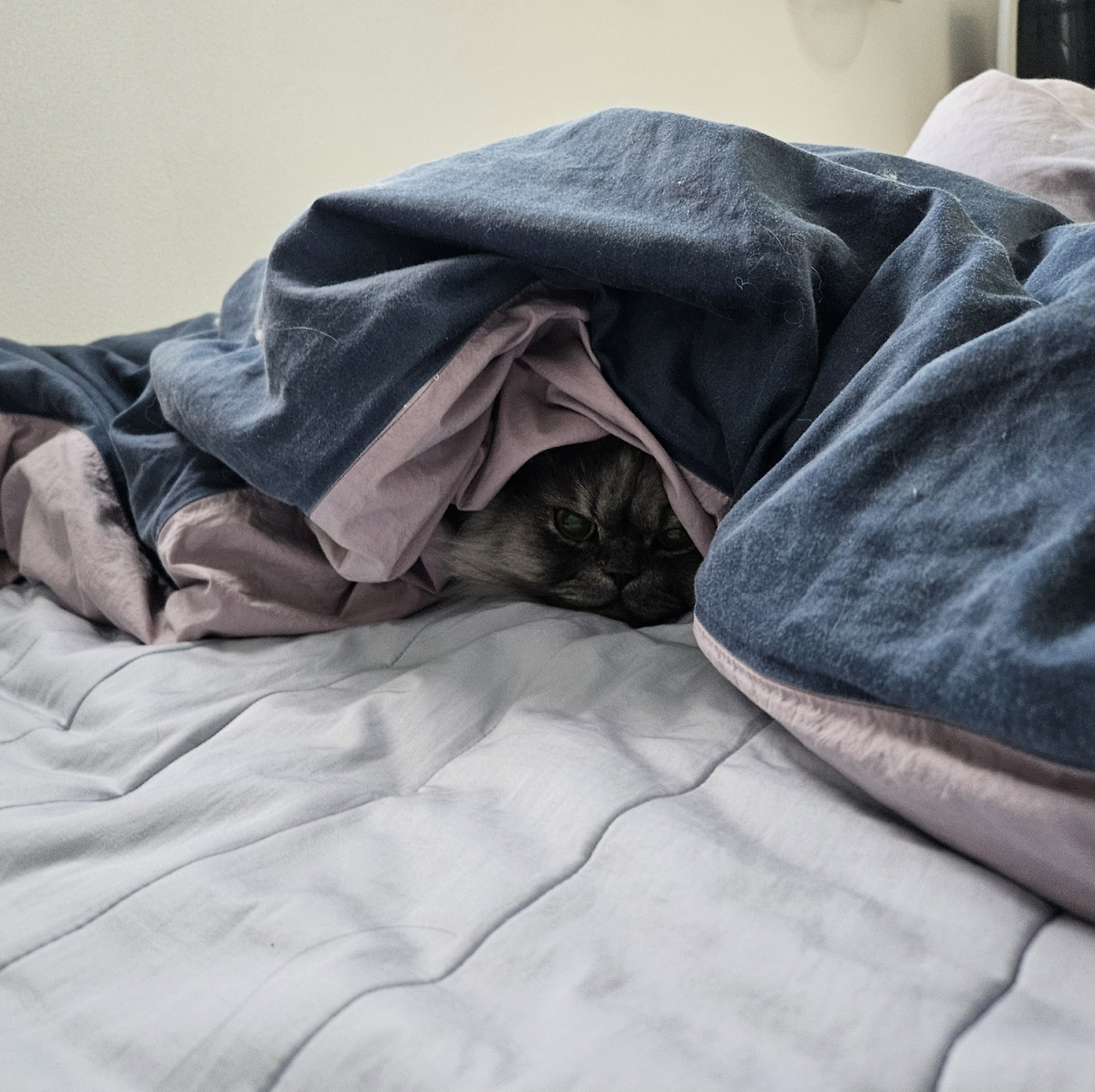 스크린샷 2025-09-26 오후 6.01.23.png