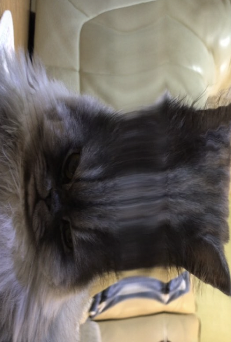 스크린샷 2025-12-19 오후 3.46.44.png