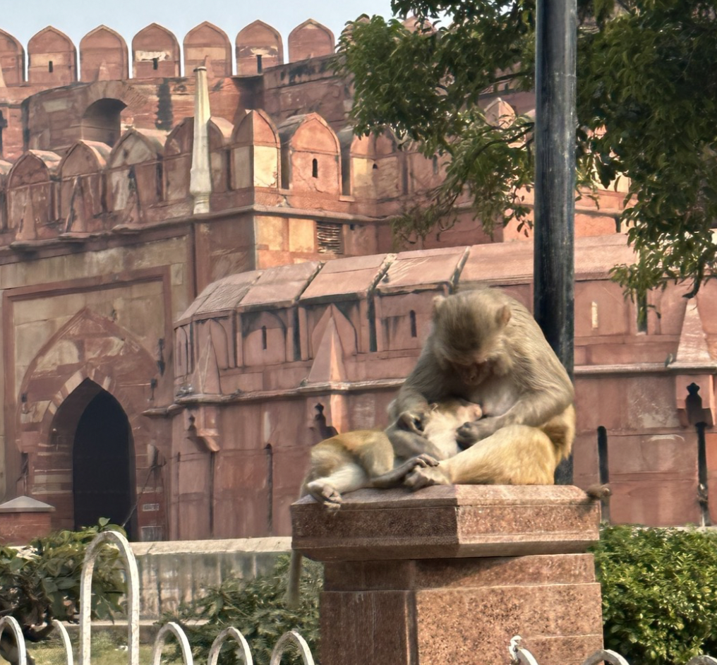 스크린샷 2025-01-22 오후 11.07.10.png