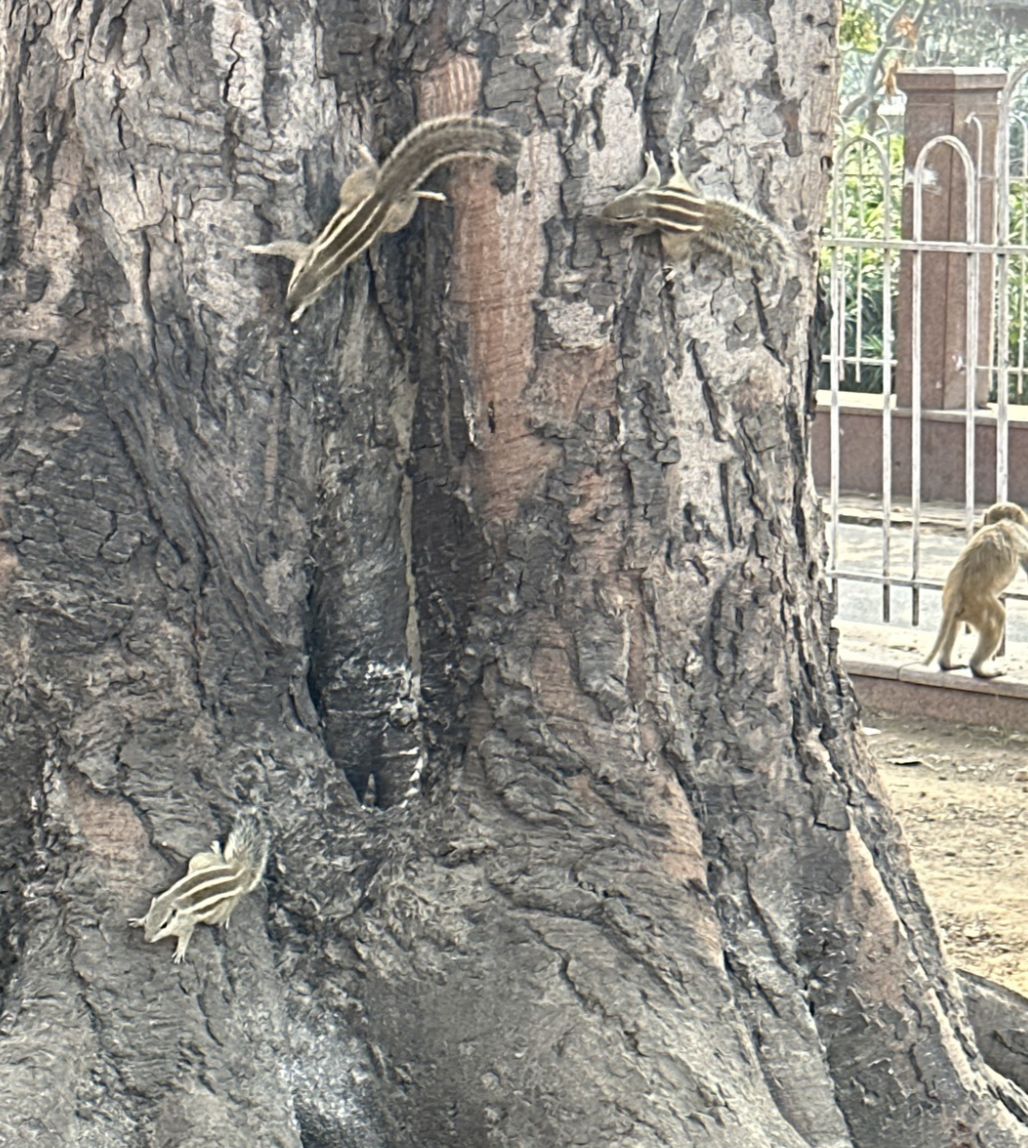 스크린샷 2025-01-22 오후 11.06.55.png