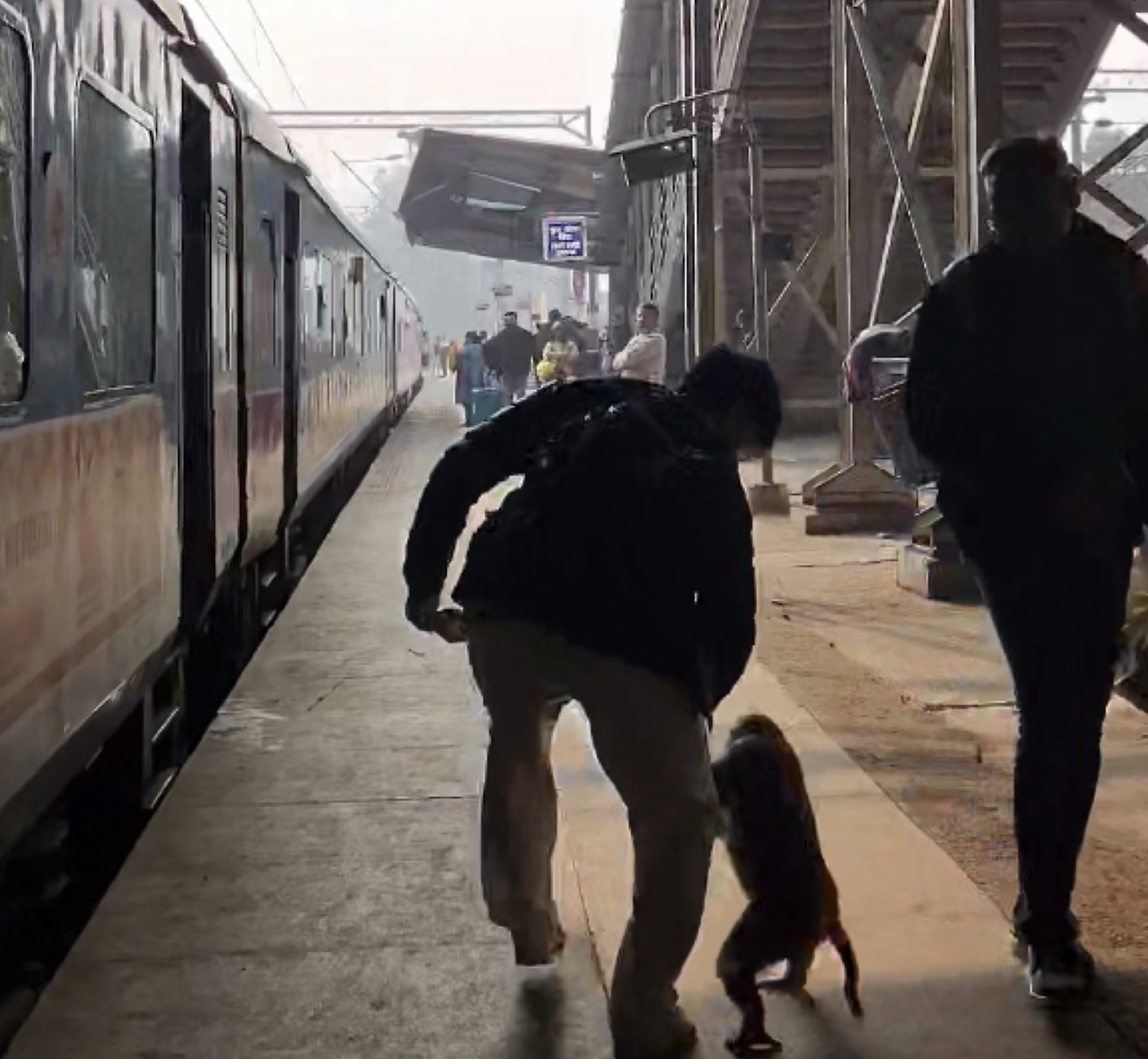 스크린샷 2025-01-22 오후 11.05.31.png