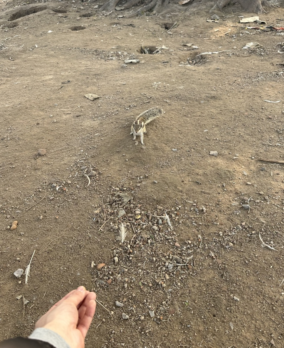 스크린샷 2025-01-22 오후 11.12.18.png