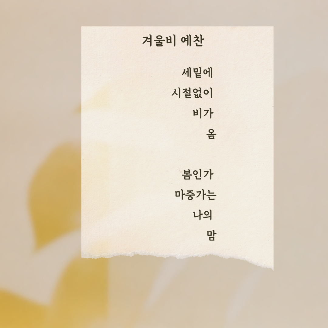 겨울비 예찬.png