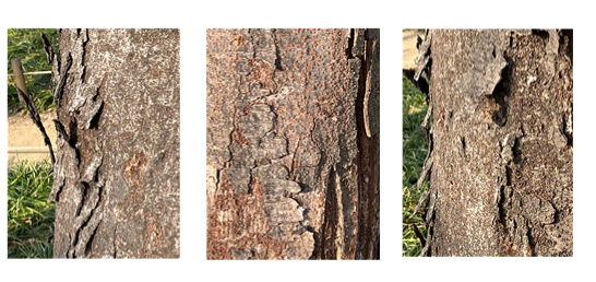 스크린샷 2024-03-17 220038.png