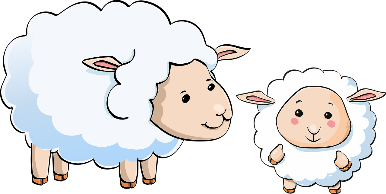 sheep-3539678_1920.png