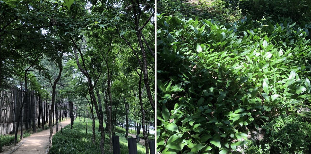 스크린샷 2023-02-02 오후 2.12.43.png