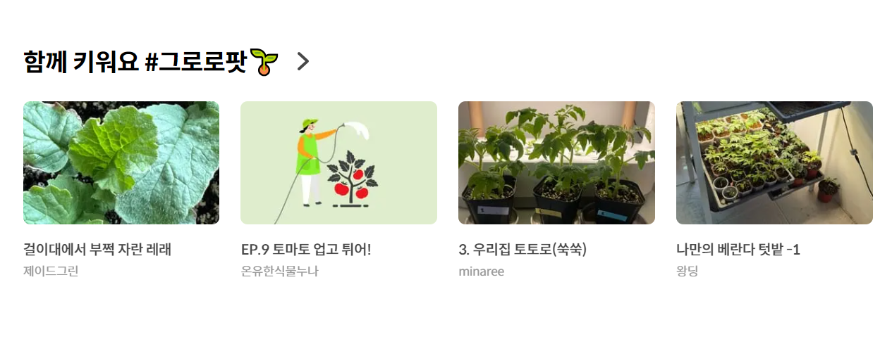 화면 캡처 2024-05-21 122501.png