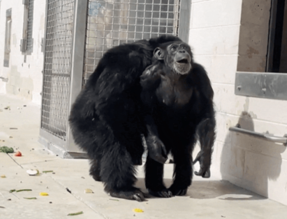 스크린샷 2023-10-09 오전 6.17.50.png