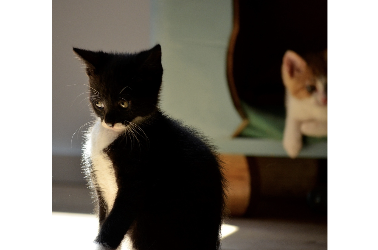 스크린샷 2024-11-24 오전 10.50.53.png