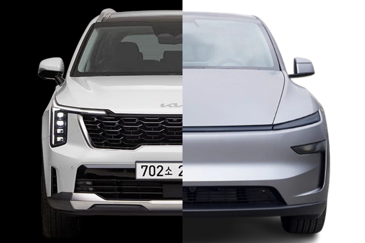sorento vs model y.png