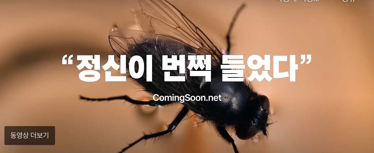 스크린샷 2024-12-30 23.50.55.png